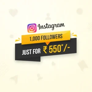 buy 1000 instagram followers