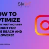 How to optimize your Instagram account for more reach and followers?